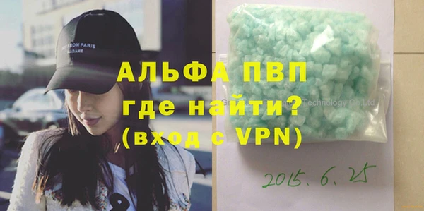 PSILOCYBIN Инсар