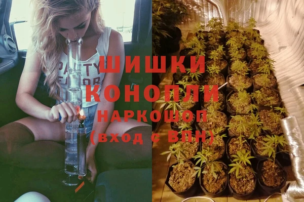 спайс Инта