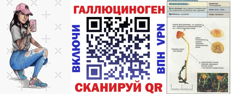 Псилоцибиновые грибы мухоморы  Купить закладки  Змеиногорск 